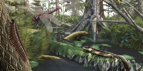 carboniferous period meaning